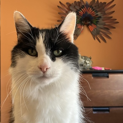 avatar for jeridansky@sfba.social