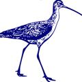 avatar for curlew@ramblingreaders.org