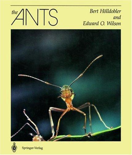 Bert Hölldobler, Bert Hölldobler, Edward O. Wilson: The ants (Hardcover, 1990, Springer-Verlag)