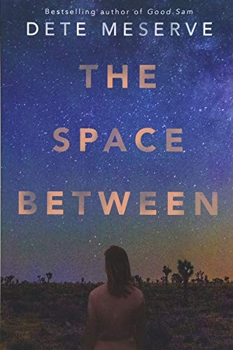 Dete Meserve: The space between (2018, Lake Union Publishing)