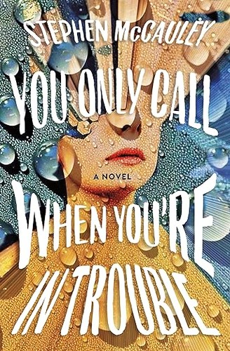 Stephen McCauley: You Only Call When You're In Trouble (2024, Henry Holt and Company)