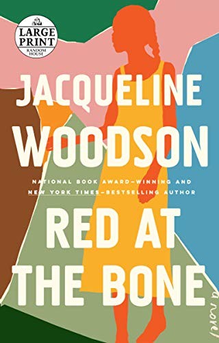 Jacqueline Woodson: Red at the Bone (2019, Diversified Publishing)