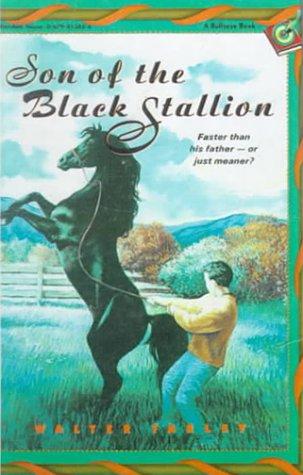 Walter Farley: Son of the Black Stallion (Hardcover, 1999, Tandem Library)