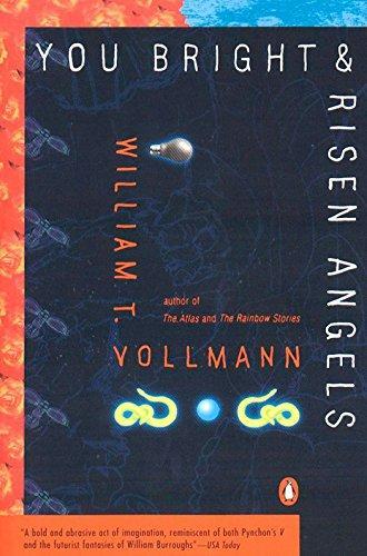 William T. Vollmann: You Bright and Risen Angels