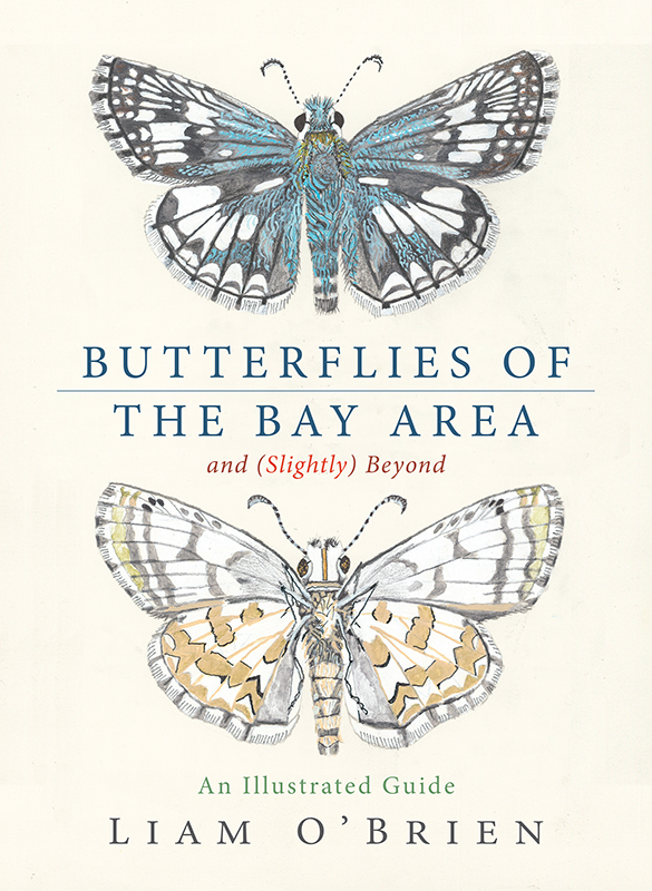 Liam O'Brien: Butterflies of the Bay Area and (Slightly) Beyond (Hardcover, 2025, Heyday)