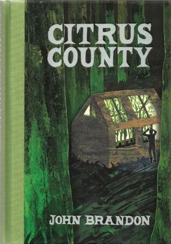 John Brandon: Citrus County (2010, McSweeney's)