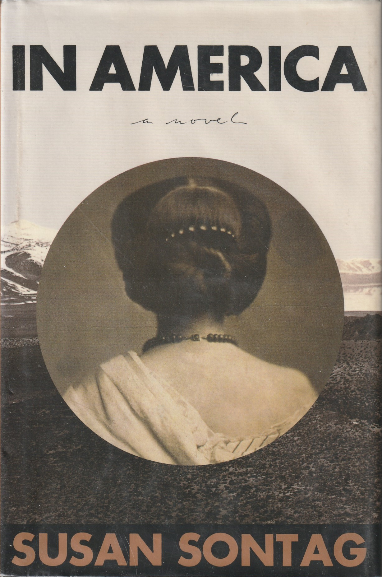 Susan Sontag: In America (Hardcover, 2000, Farrar Straus and Giroux)