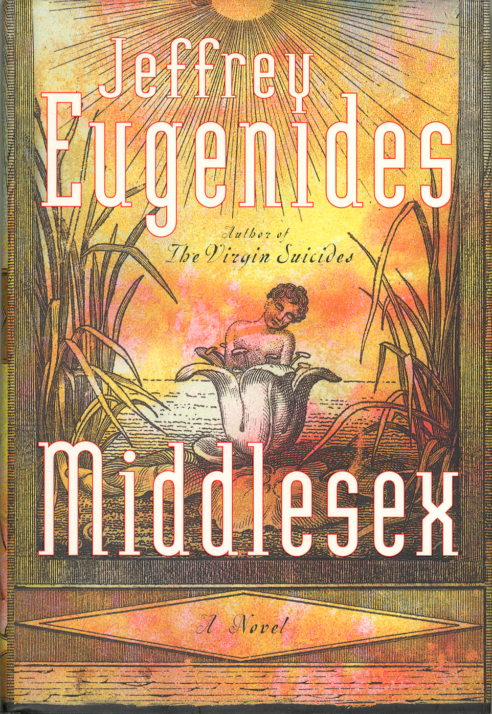 Jeffrey Eugenides: Middlesex (Hardcover, 2002, Farrar, Straus & Giroux)