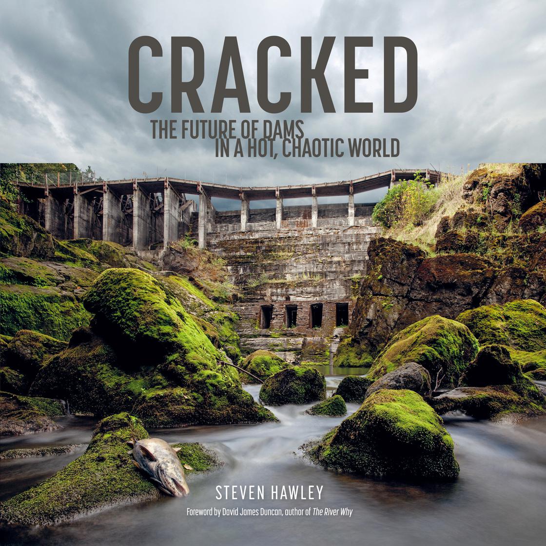 Steven Hawley: Cracked (AudiobookFormat, 2023, Patagonia)