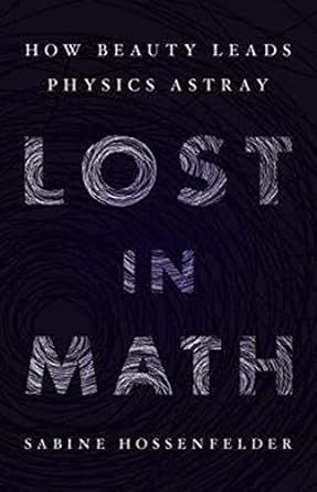Sabine Hossenfelder: Lost in math (2018)