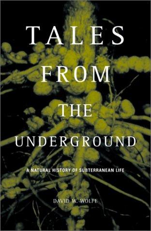 David W. Wolfe: Tales from the Underground (Paperback, Perseus Publishing)
