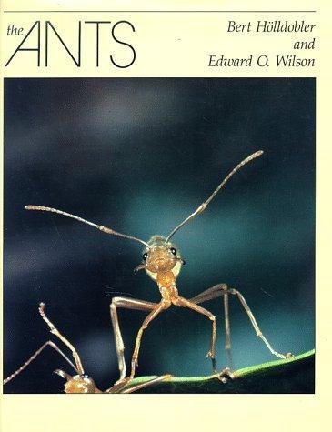 Bert Hölldobler, Edward O. Wilson: The Ants (1990)