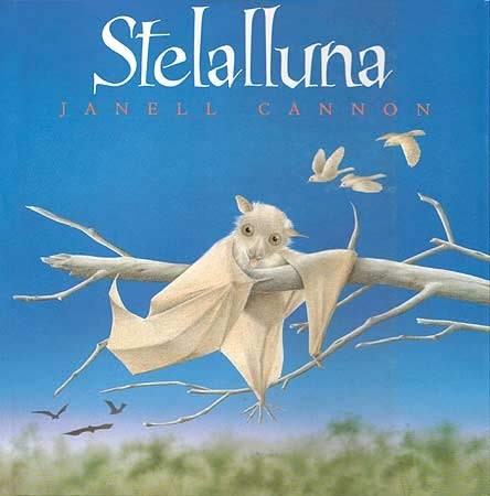 Janell Cannon: Stelalluna (Hardcover, Spanish language, 1994, Editorial Juventud, S.A.)