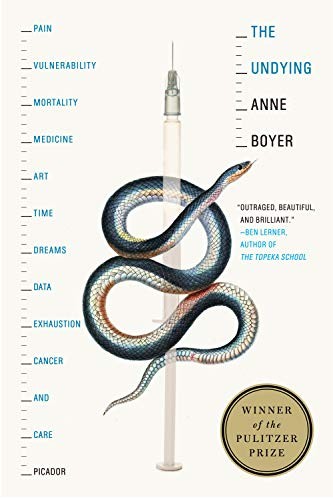 Anne Boyer: The Undying (Paperback, Picador)