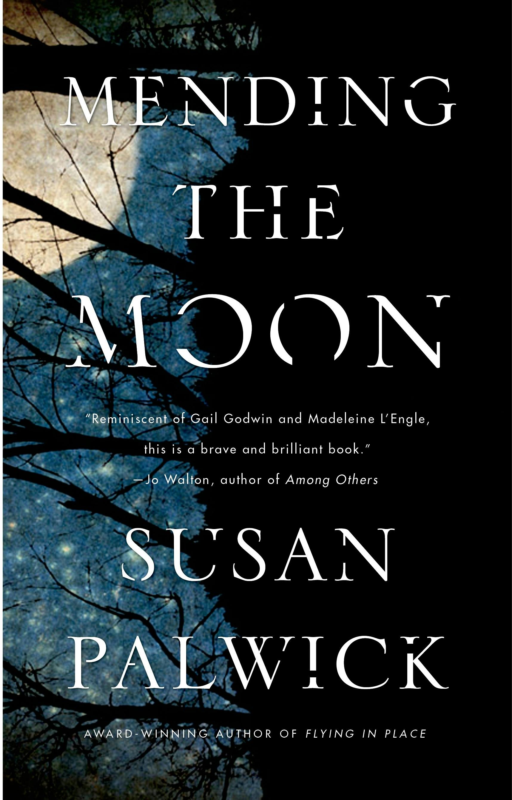 Susan Palwick: Mending the Moon (Paperback, 2014, Tor Books)