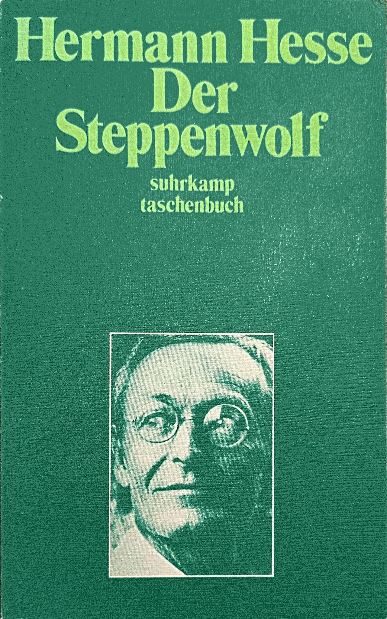 Hermann Hesse: Der Steppenwolf (Paperback, 1981, Suhrkamp)