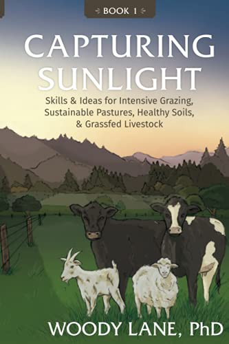 Woody Lane: Capturing Sunlight, Book 1 (Paperback, 2020, Lane Livestock Services)