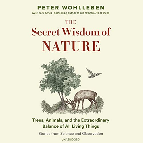 Peter Wohlleben: The Secret Wisdom of Nature : Trees, Animals, and the Extraordinary Balance of All Living Things--Stories from Science and Observation (AudiobookFormat, Blackstone Audio)