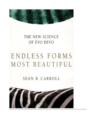 Sean B. Carroll: Endless forms most beautiful (2007, Phoenix, Orion Publishing Group, Limited)