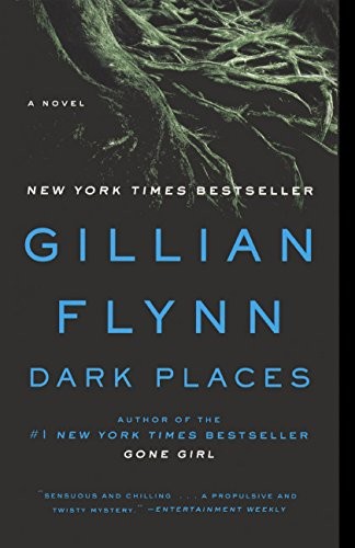 Gillian Flynn: Dark Places (Hardcover, 2010, Turtleback Books, Turtleback)