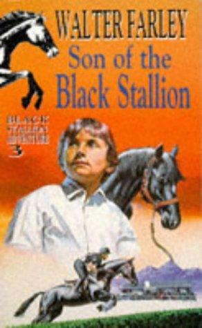 Walter Farley: Son of the black stallion. (Paperback, 1973, Knight Books)