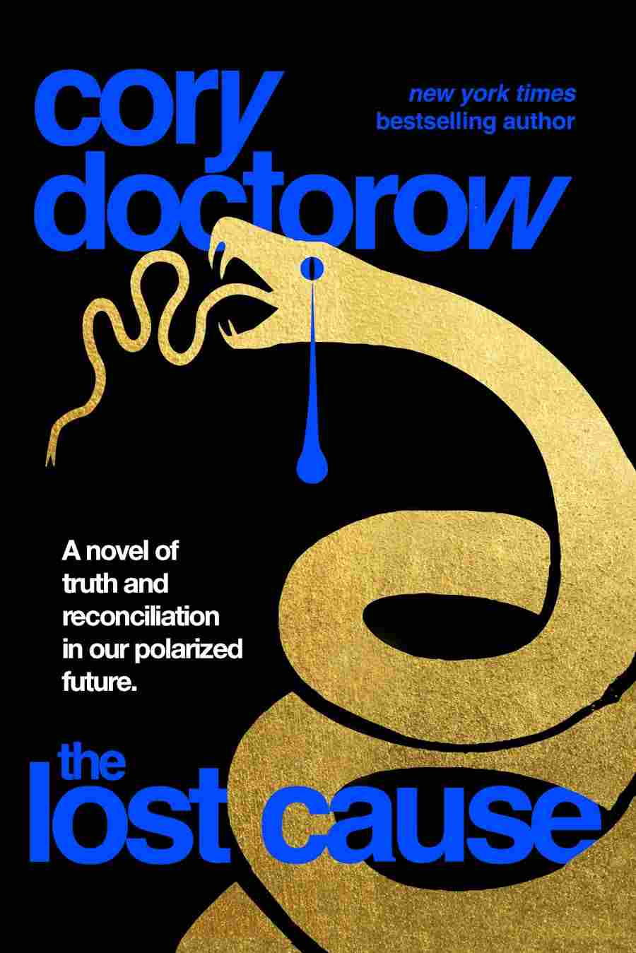 Cory Doctorow (Duplicate): The Lost Cause (TOR)