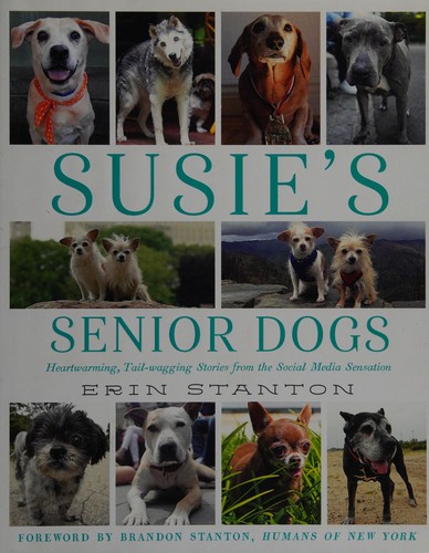 Erin Stanton: Susie's senior dogs (2016)