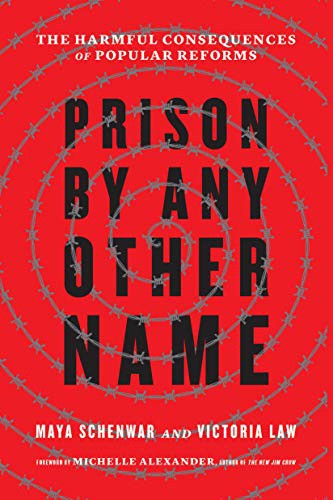 Michelle Alexander, Victoria Law, Maya Schenwar: Prison by Any Other Name (Paperback, 2021, The New Press)