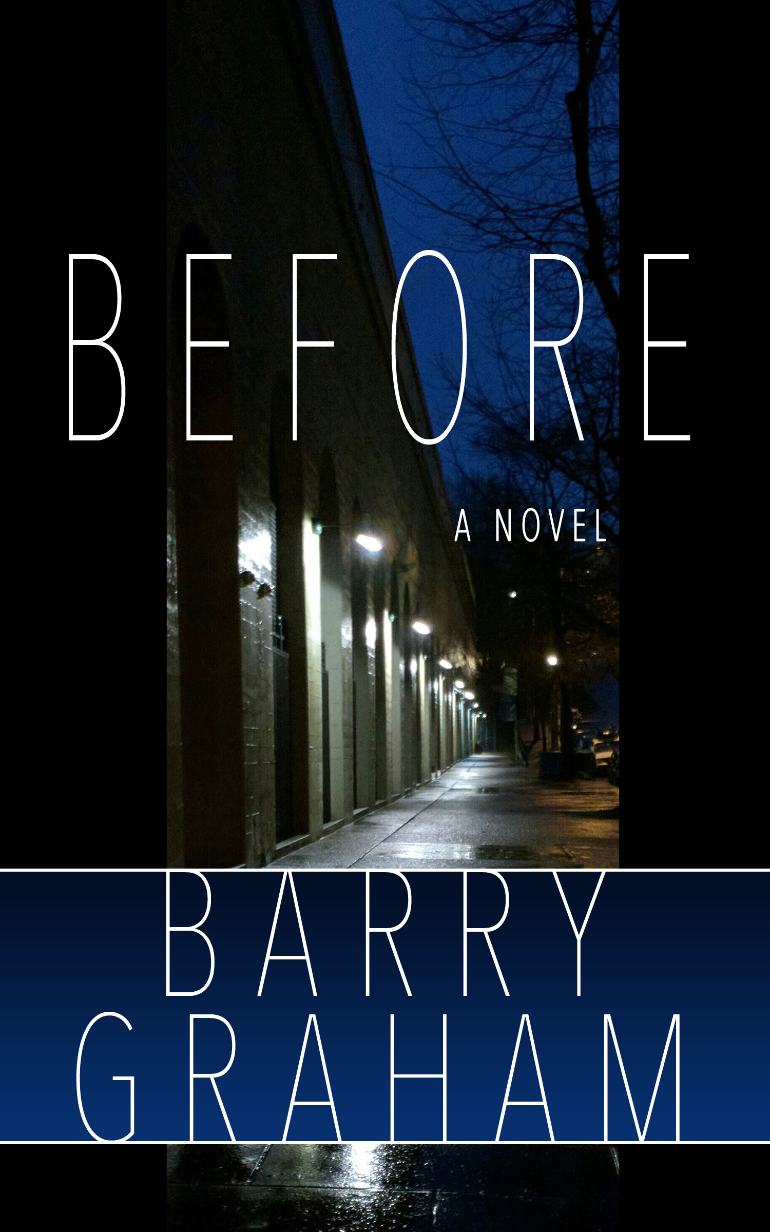 Barry Graham: Before (Paperback, 2012, Cracked Sidewalk Press)
