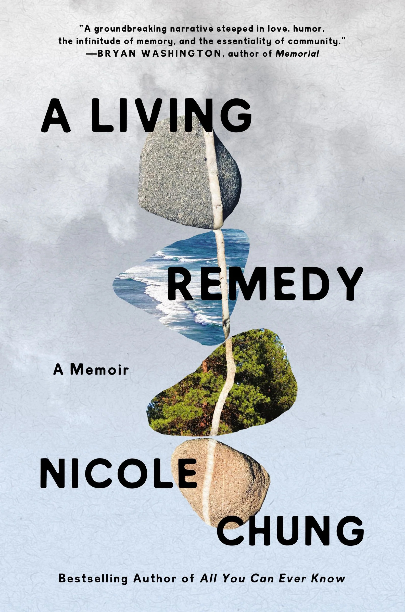 Nicole Chung: A Living Remedy (Hardcover, Ecco)