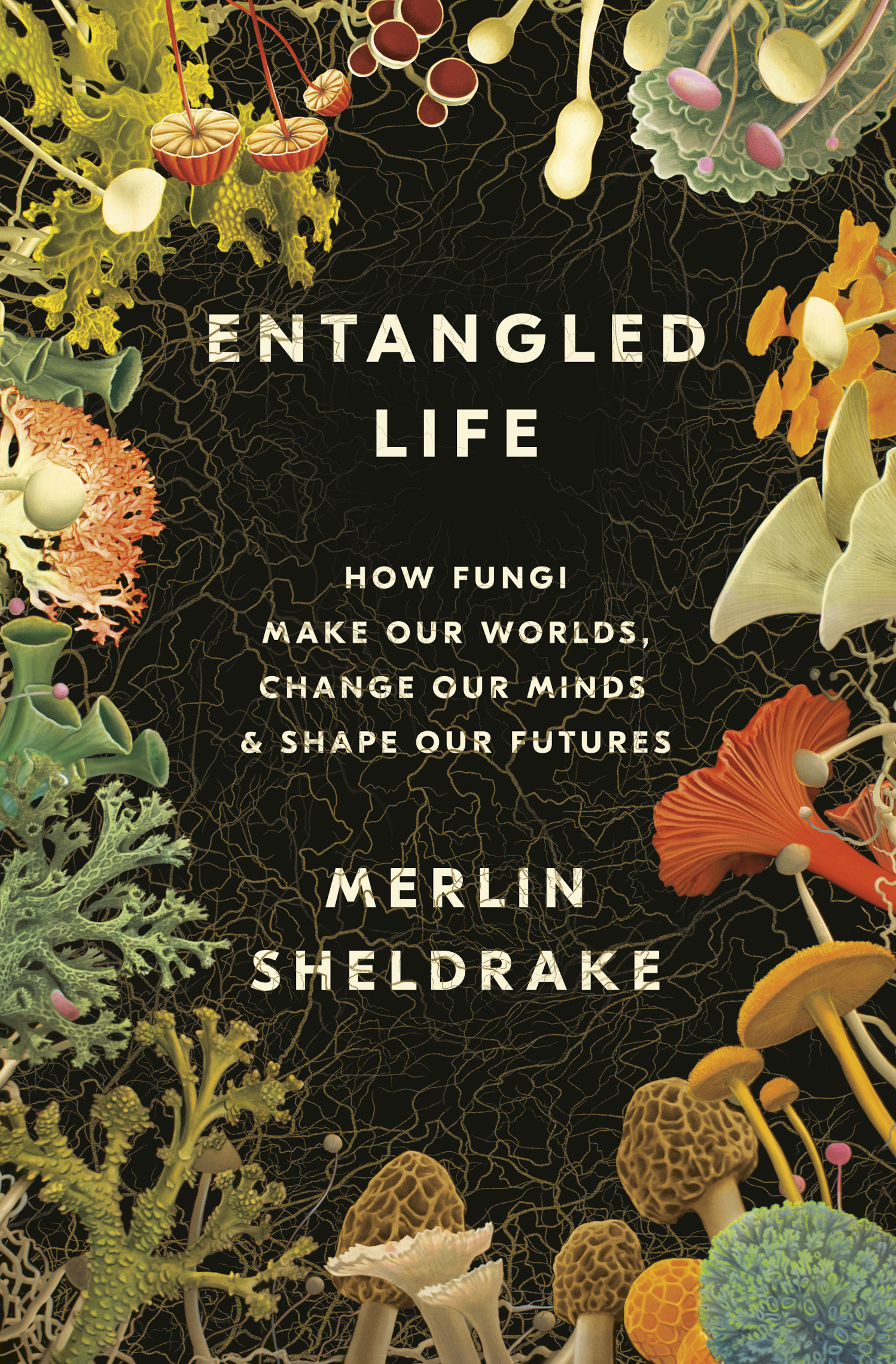 Merlin Sheldrake: Entangled Life (Hardcover, 2020, Random House)