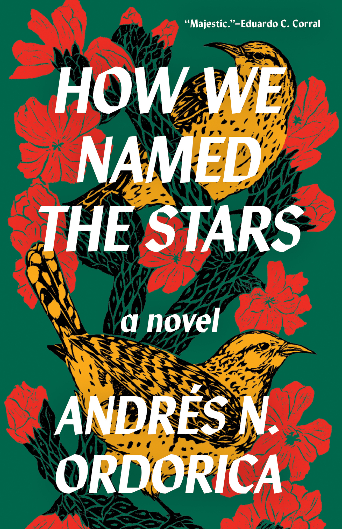 Andrés N. Ordorica: How We Named the Stars (Paperback, 2024, Tin House Books)