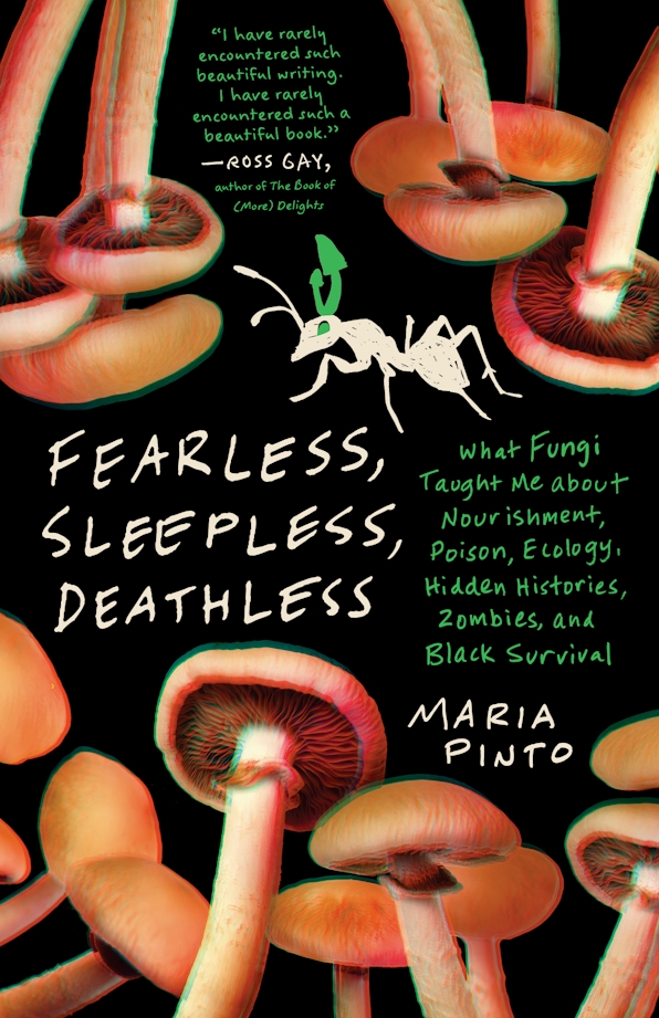 Maria Pinto: Fearless, Sleepless, Deathless (The University of North Carolina Press)