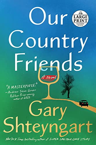 Gary Shteyngart: Our Country Friends (Paperback, 2021, Random House Large Print)