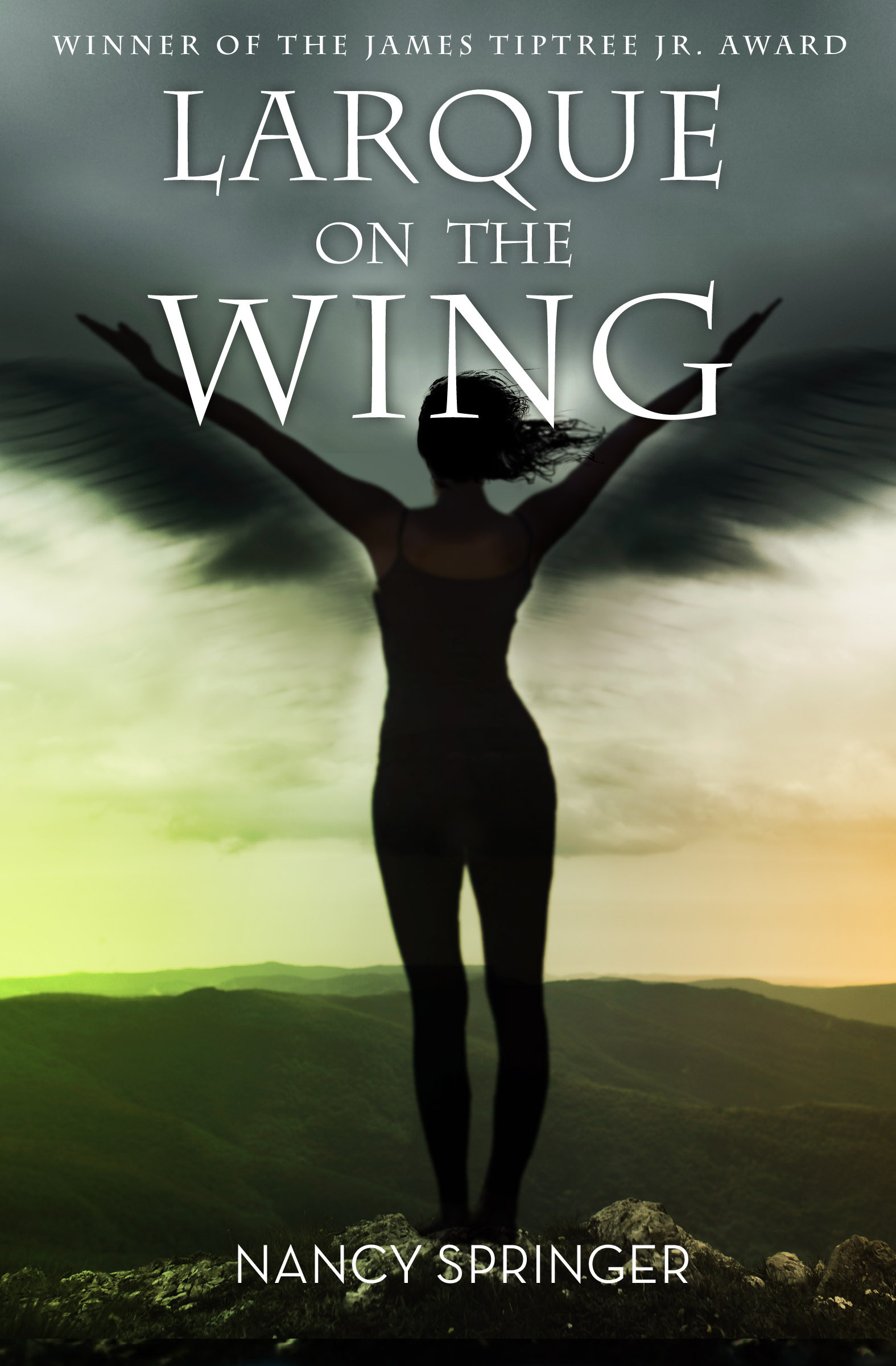 Nancy Springer: Larque on the wing (EBook, 2014, Open Road Media)