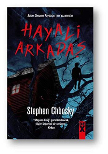 Stephen Chbosky: Hayali Arkadaş (Paperback, Dex Kitap)