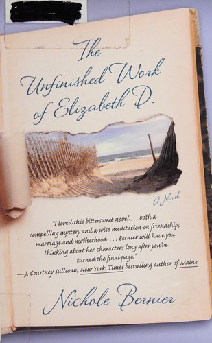 Nichole Bernier: The unfinished work of Elizabeth D. (2012, Wheeler Publishing)