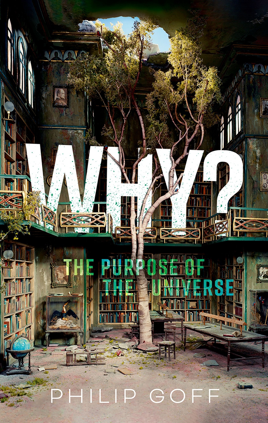 Philip Goff: Why? the Purpose of the Universe (Hardcover, 2023, Oxford University Press)