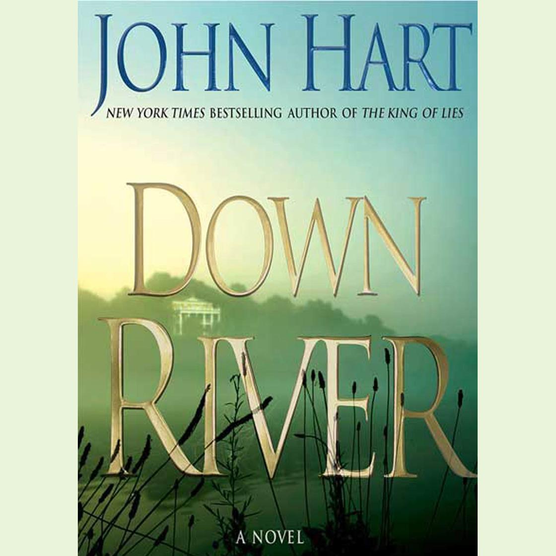 John Hart: Down River (AudiobookFormat, 2007, Macmillan Audio)