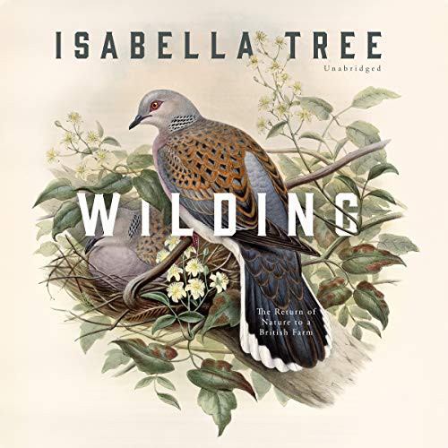 Isabella Tree: Wilding (AudiobookFormat, Blackstone Publishing)