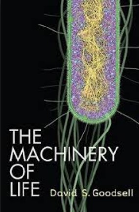 David S. Goodsell: The machinery of life - 2. ed. (2010, Copernicus)