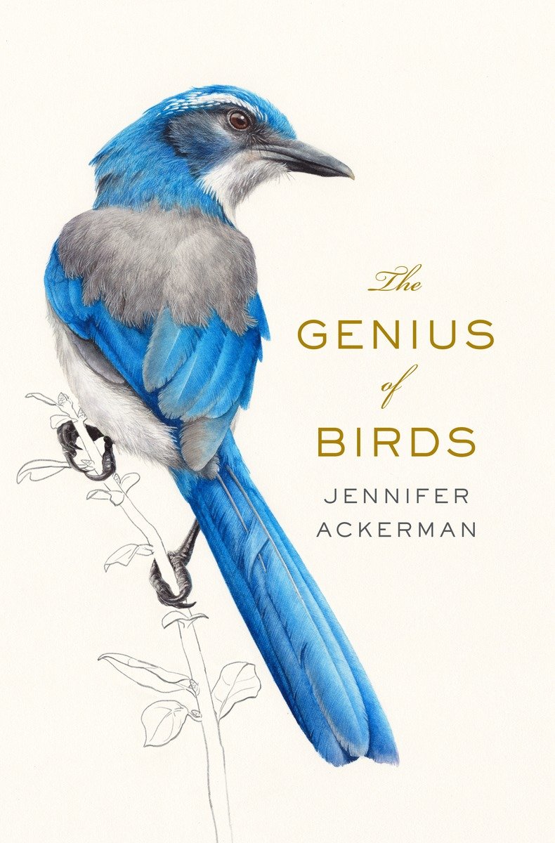 Jennifer Ackerman: The Genius of Birds (EBook, 2016, Penguin Books)