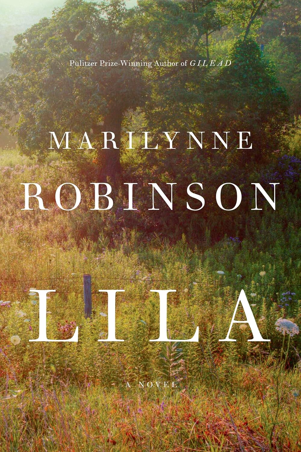 Marilynne Robinson: Lila (Hardcover, 2014, Farrar Straus and Giroux)