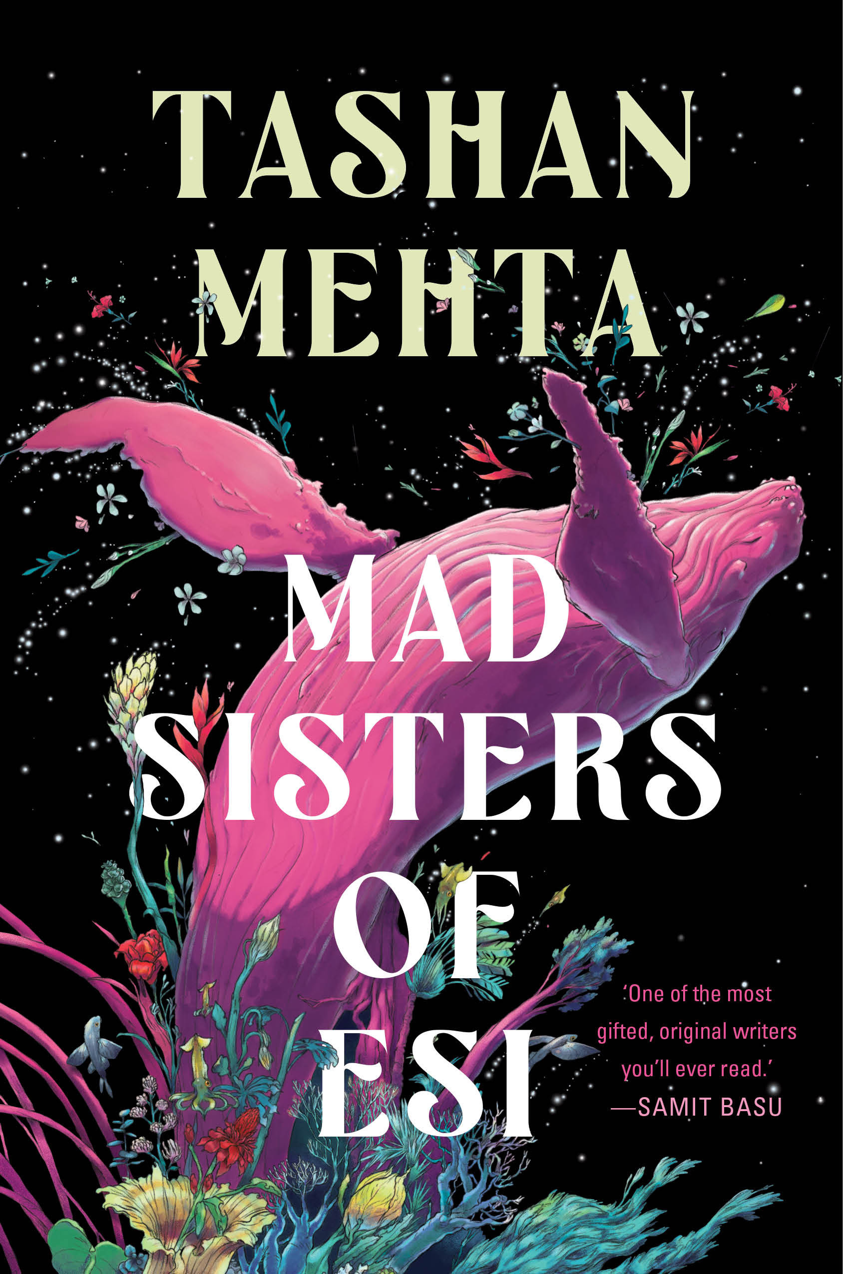 Tashan Mehta: Mad Sisters of Esi (EBook, 2025, DAW Books)