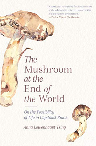 Anna Lowenhaupt Tsing: The Mushroom at the End of the World (Paperback, 2021, Princeton University Press)