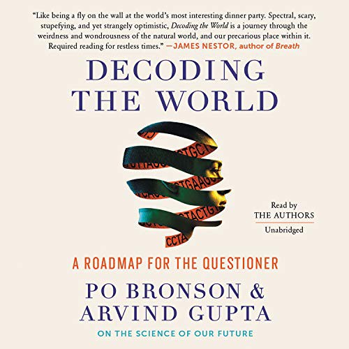 Po Bronson, Arvind Gupta: Decoding the World (AudiobookFormat, Twelve)