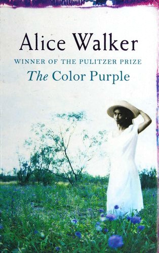 Alice Walker: The Color Purple (Paperback, 2004, Phoenix)