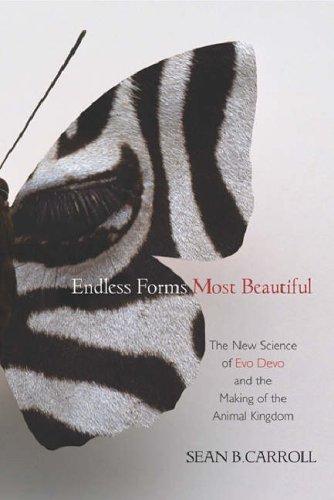 Sean B. Carroll: Endless Forms Most Beautiful (Hardcover, WEIDENFELD & NICOLSO, Orion Publishing Group, Limited)