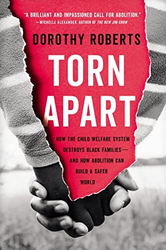 Dorothy Roberts: Torn Apart (Paperback, 2023, Basic Books)