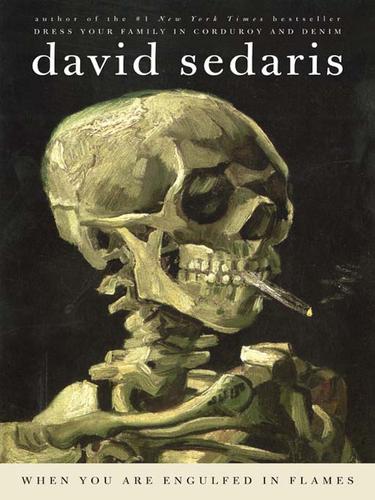 David Sedaris: When You Are Engulfed in Flames (EBook, 2008, Little, Brown and Company)